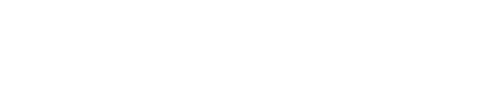 logo NSI